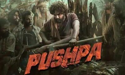 Pushpa HDRip Movie Download 480p, 720p, 1080p Free Download
